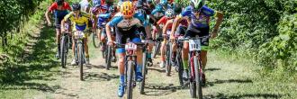 23° GP Città di Conegliano